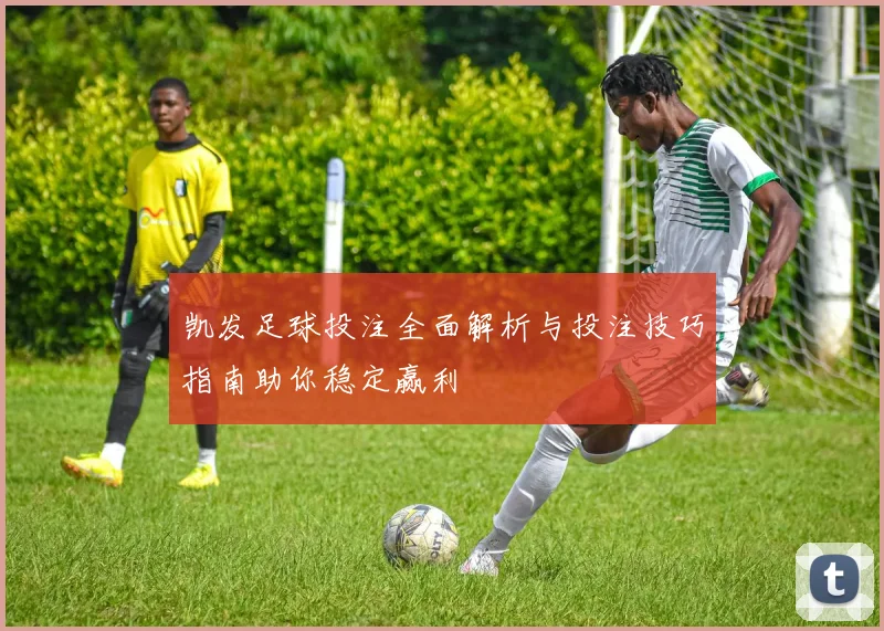 凯发足球投注全面解析与投注技巧指南助你稳定赢利