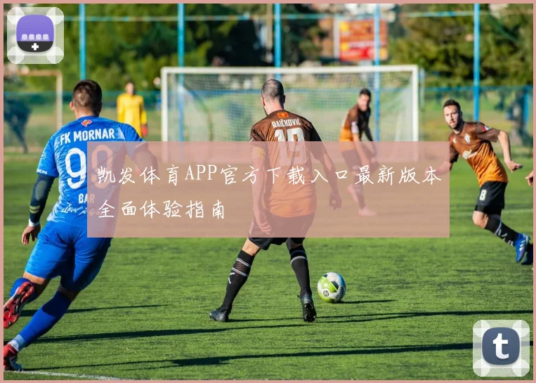 凯发体育APP官方下载入口最新版本全面体验指南