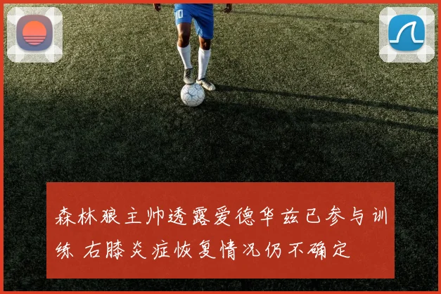 森林狼主帅透露爱德华兹已参与训练 右膝炎症恢复情况仍不确定